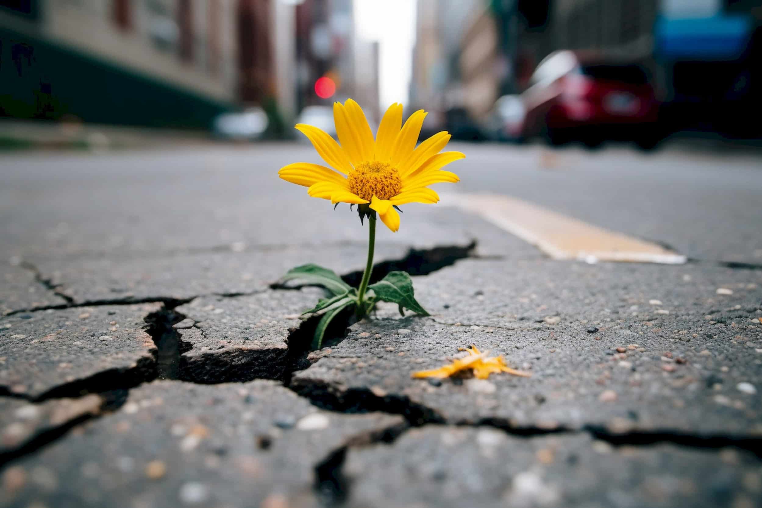 Read more about the article Bouncing Back from Relapse: Your Roadmap to Resilient Recovery